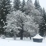 Center Vakantiepark Koveri