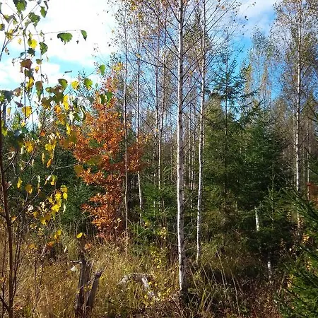 Üdülőpark Center Kõveri