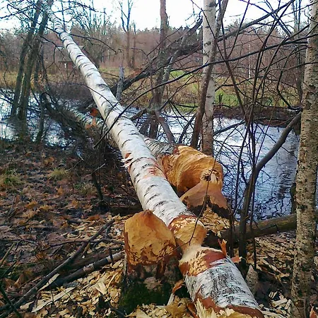 Üdülőpark Center *