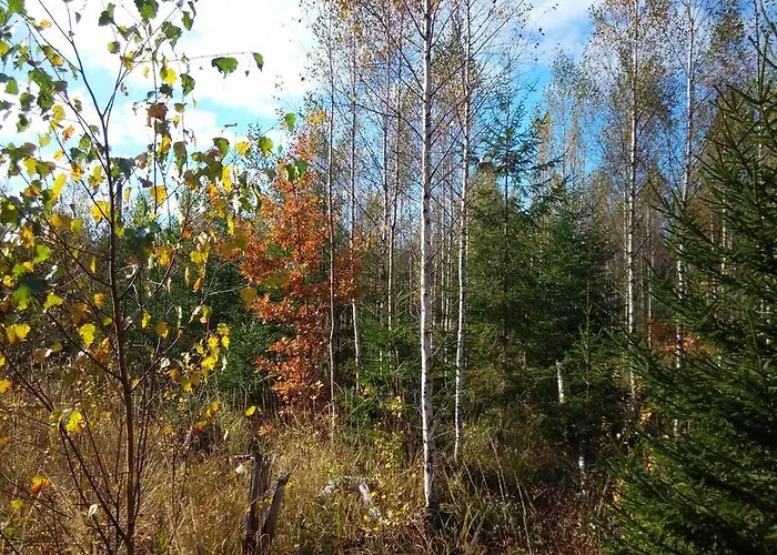 База отдыха Center Koveri