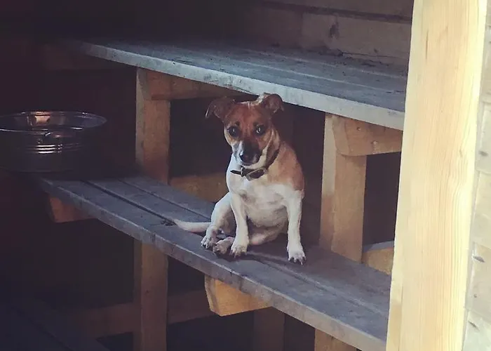 Center פארק נופש